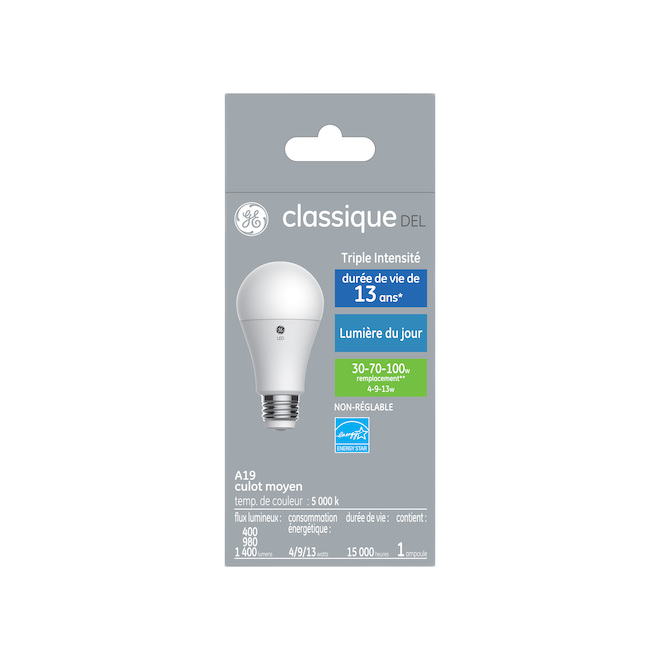 GE A19 LED BULB DAYLIGHT 30W-70W-100W