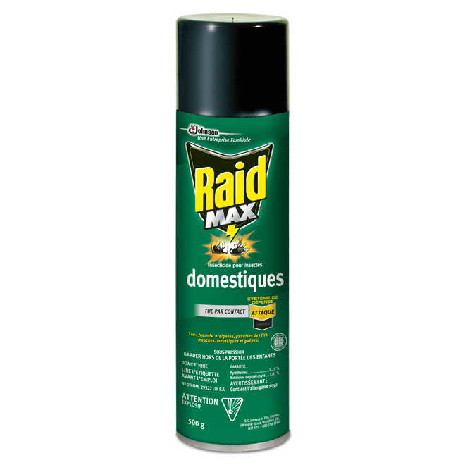 RAID MAX HOME INSECT KILLER 500G