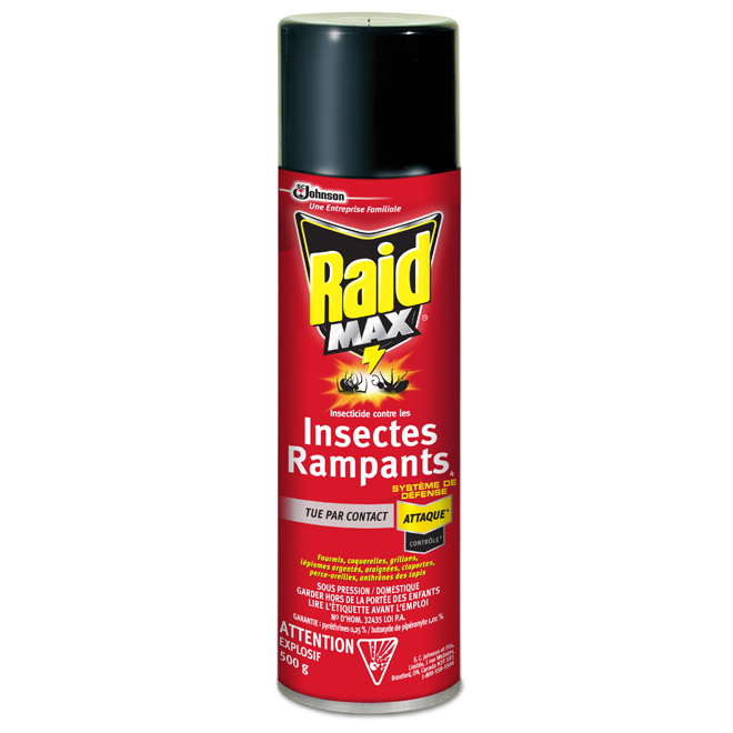 RAID CRAWLING INSECT SPRAY 500G