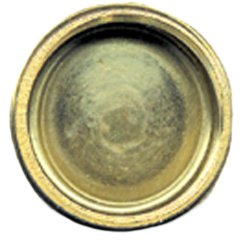 SIOUX CHIEF HOSE CAP BRASS BRASS 3/4"