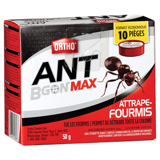 ANT BGON ANT TRAP 10PK