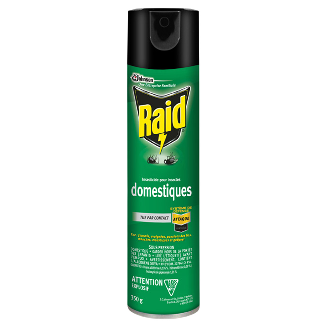 RAID HOME INSECT KILLER 350G