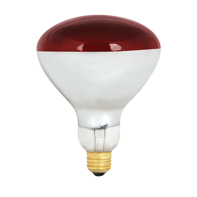 FEIT ELECTRIC R40 E26 INCANDESCENT BULB FROST.GLASS RED 250W