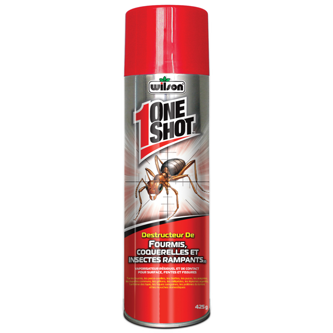 WILSON ROACH/SPIDER SPRAY 429GR