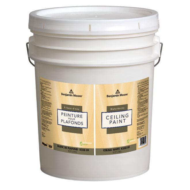 WATERBORNE CEILING PAINT 5G