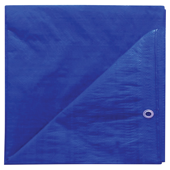 PROJECT SOURCE TARP POLYTHYLENE BLUE 8x10'