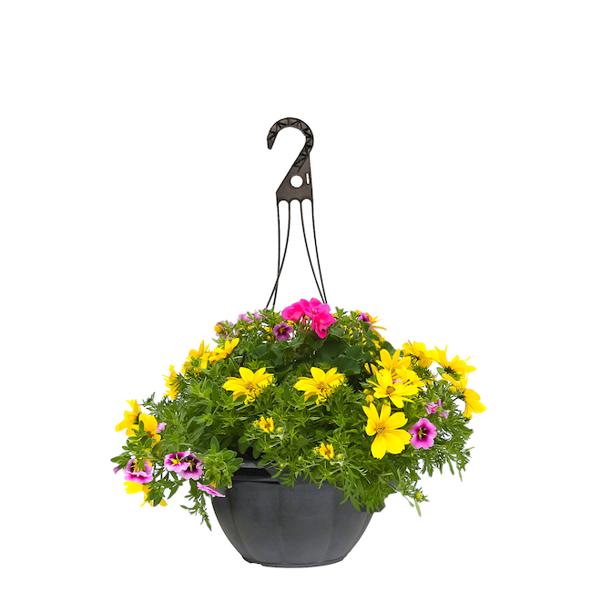 MOTHER'S DAY HANGING BASKET 13"