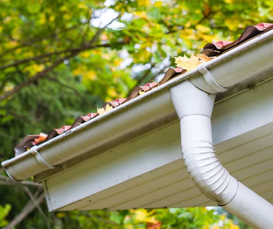 GUTTERS &amp; ACCESS