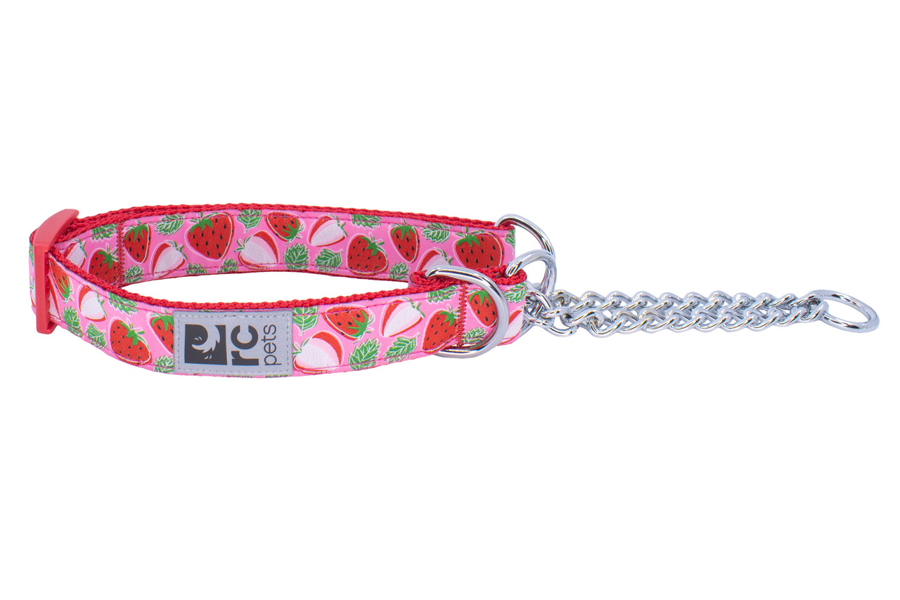 RC STRAWBERRY TRAINING COLLAR LG