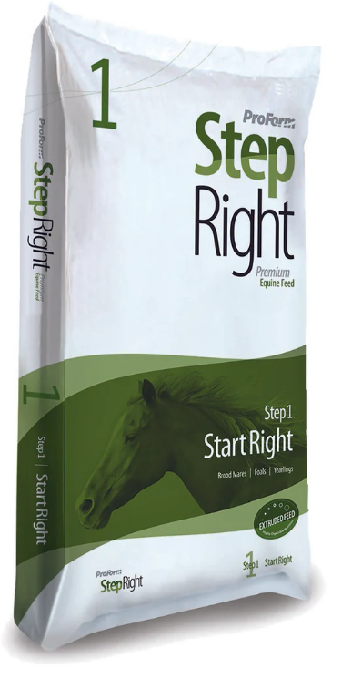 STEP 1 START RIGHT MARE & FOAL